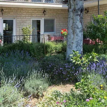 Ursic * 斯普利特