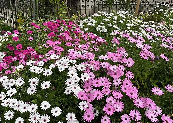 דירה Ursic ספליט