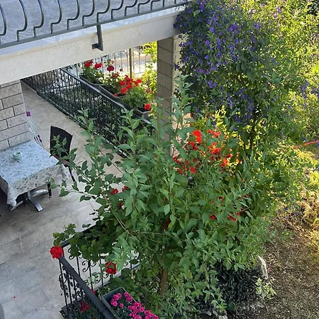 Апартаменты Ursic Сплит